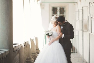 Güzel, mutlu bir düğün çifti, güzel şehirde uzun beyaz elbiseli bir gelin.