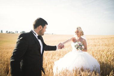 Alanına, aşık veya yeni evli ile poz güzel çift mavi gökyüzü mükemmel