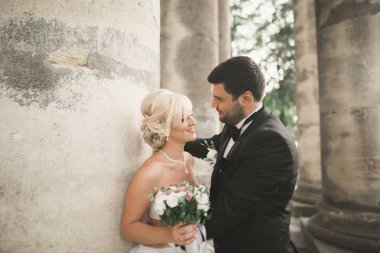 Şehvetli evli çift, eski Slav kalesinin önünde sevgililer günü kucaklaşması.