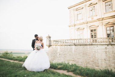 Güzel, romantik bir düğün. Yeni evliler. Eski kalenin yakınlarında sarılıyorlar.