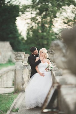 Şehvetli evli çift, eski Slav kalesinin önünde sevgililer günü kucaklaşması.