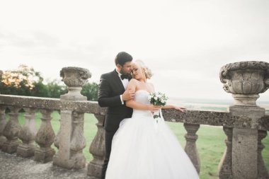 Mutlu düğün kaç sarılma ve öpüşme üzerinde arka plan eski kale