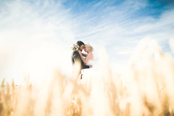 Emocional hermosa novia abrazando novio recién casado en un primer plano de campo — Foto de Stock