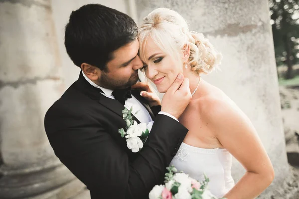 Besos Boda Pareja Primavera Naturaleza Primer Plano Retrato — Foto de Stock