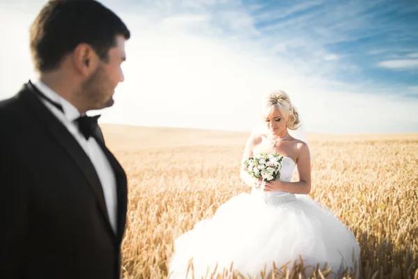 Hermosa pareja en el campo, Amantes o recién casados posando con el cielo azul perfecto — Foto de Stock