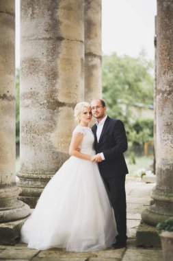 Şehvetli evli çift, eski Slav kalesinin önünde sevgililer günü kucaklaşması.