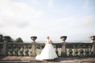 Muhteşem romantik zarif stil güzel beyaz gelin arka planda antik barok kalesinde