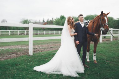 Yeni evli çift düğün doğa güzel ata stand