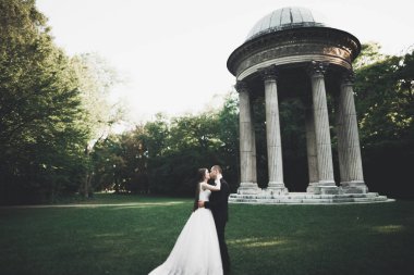 Lüks düğün çifti, gelin ve damat Viyana 'da poz veriyor.