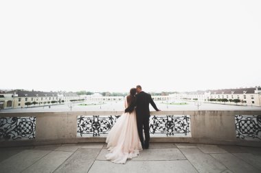 Güzel gelin ve damat evlendikleri gün kucaklaşıp öpüşüyorlar.