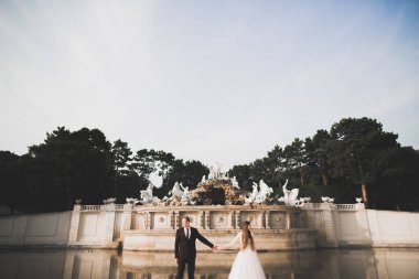 Lüks düğün çifti, gelin ve damat Viyana 'da poz veriyor.