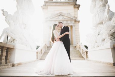 Onların evlilik kutlama mutlu romantik genç bir çift. Açık