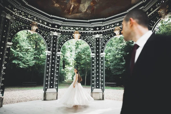 Coppia perfetta sposa, sposo posa e baci nel loro giorno del matrimonio — Foto Stock