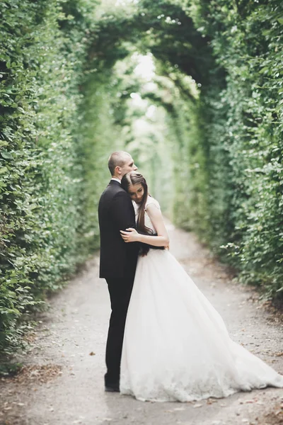 Coppia perfetta sposa, sposo posa e baci nel loro giorno del matrimonio — Foto Stock