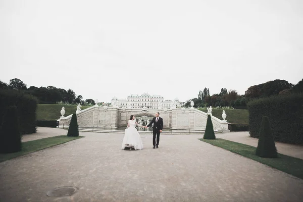 Casal de luxo, noiva e noivo posando na cidade de Viena — Fotografia de Stock