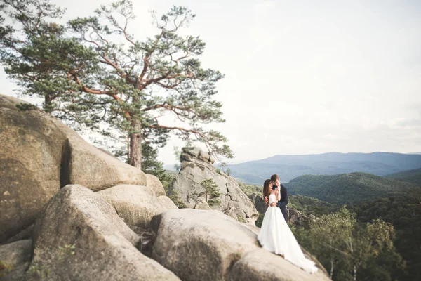 結婚式のカップルで愛キスと抱擁近くの岩で美しい風景 — ストック写真