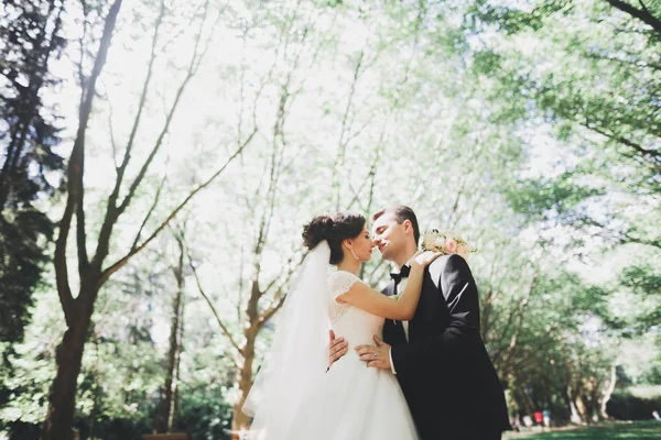 Kyssar bröllop par i vår natur närbild porträtt — Stockfoto