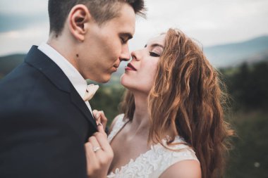 Genç bir çiftin şehvetli portresi. Açık hava.