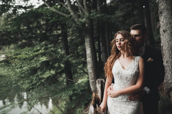 Elegante stilvolle glücklich brünette Braut und wunderschöner Bräutigam auf dem Hintergrund eines schönen Flusses in den Bergen — Stockfoto