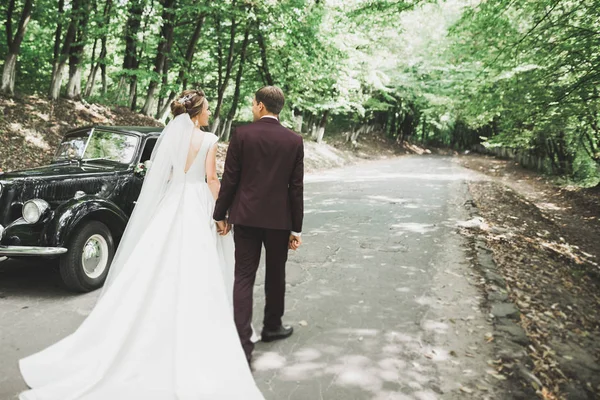 Perfektes Paar Braut, Bräutigam posiert und küsst sich am Hochzeitstag — Stockfoto