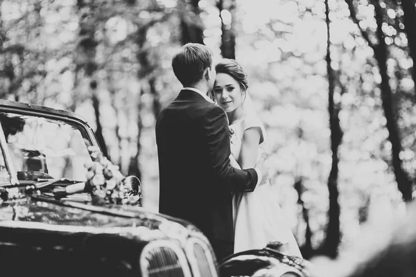 Perfect couple bride, groom posing and kissing in their wedding day — Stock Photo, Image