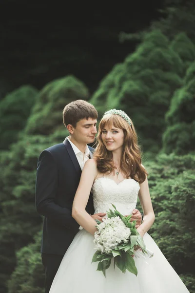 Felice coppia di nozze a piedi in un parco botanico — Foto Stock