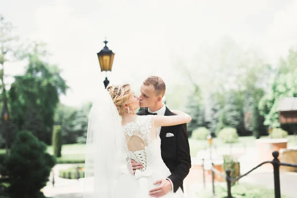 Romántico Cuento Hadas Feliz Pareja Recién Casada Abrazándose Besándose Parque —  Fotos de Stock