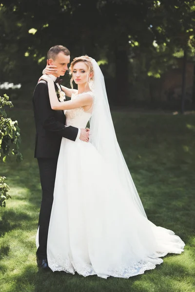 Casal feliz encantador do casamento, noiva com vestido branco longo posando na cidade bonita — Fotografia de Stock