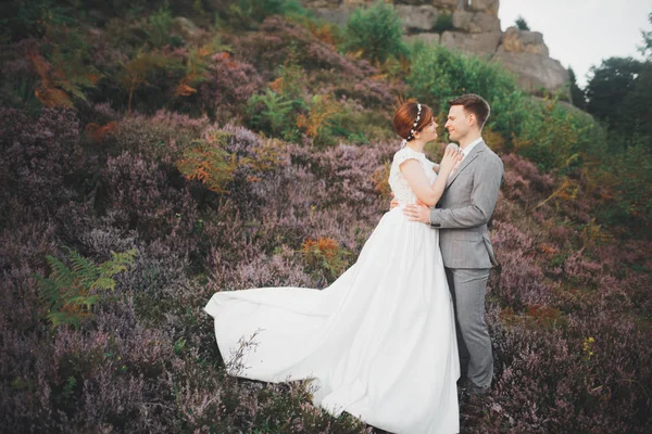 Casal de casamento beijando ficar sobre bela paisagem — Fotografia de Stock