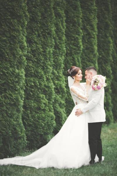 Romántico, cuento de hadas, feliz pareja recién casada abrazándose y besándose en un parque, árboles en el fondo — Foto de Stock