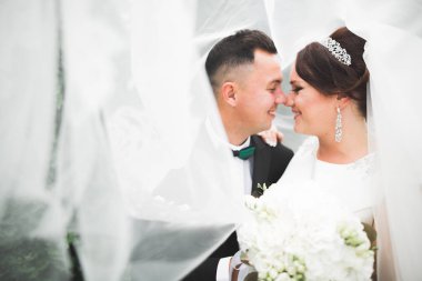 Botanik parkında yürüyen mutlu bir çift.