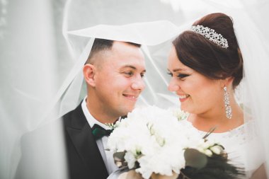 Mükemmel bir çift gelin ve damat düğün günlerinde poz verip öpüşürler.