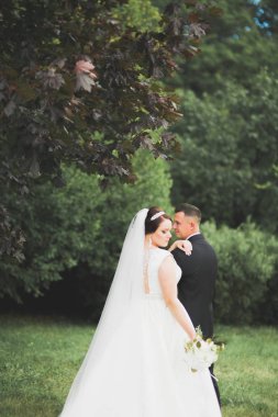 Romantik, peri masalı, mutlu yeni evli çift parkta sarılıp öpüşüyor, arka planda ağaçlar...