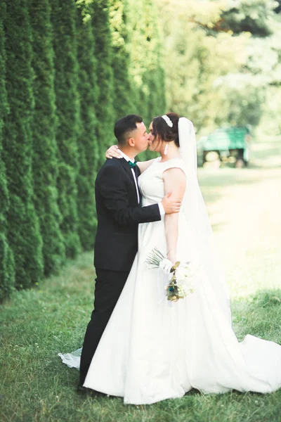 Romântico, conto de fadas, feliz casal recém-casado abraçando e beijando em um parque, árvores no fundo — Fotografia de Stock