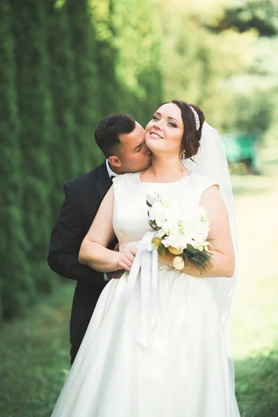 Couple parfait mariée, marié posant et embrassant dans leur jour de mariage — Photo