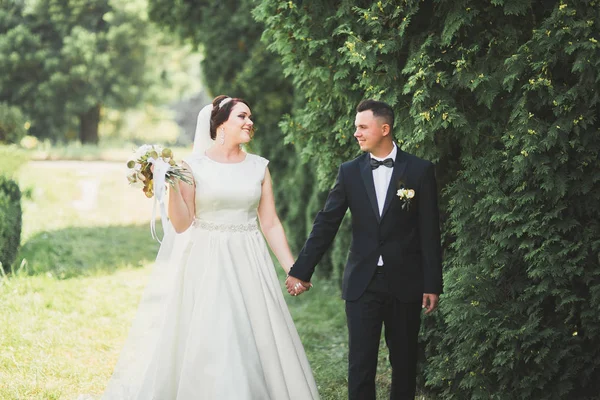 Casamento casal noiva e noivo de mãos dadas — Fotografia de Stock