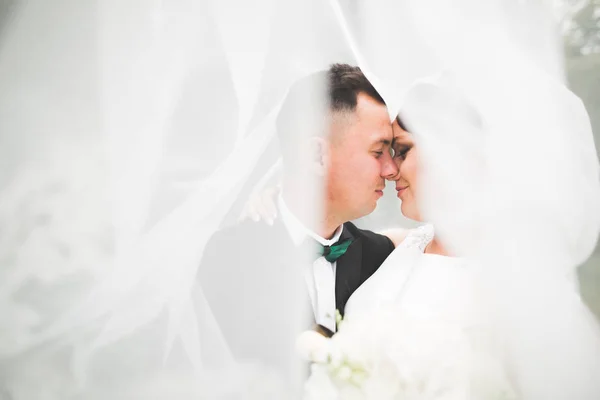 Romántico, cuento de hadas, feliz pareja recién casada abrazándose y besándose en un parque, árboles en el fondo —  Fotos de Stock