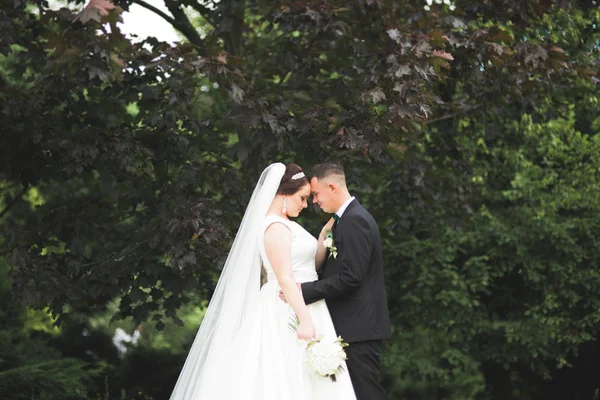 Casal feliz caminhando em um parque botânico — Fotografia de Stock