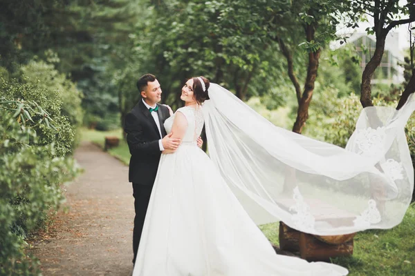 Matrimonio coppia sposa e sposo tenendosi per mano — Foto Stock