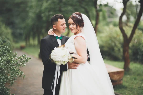 Romântico, conto de fadas, feliz casal recém-casado abraçando e beijando em um parque, árvores no fundo — Fotografia de Stock