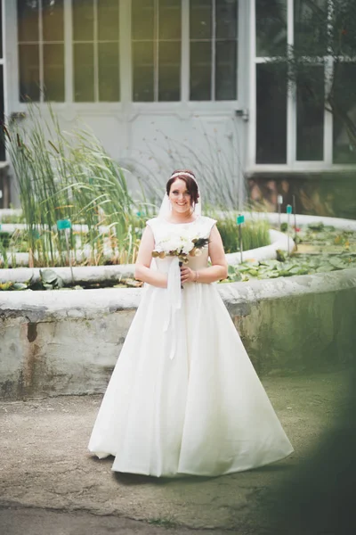 Hermosa novia morena en elegante vestido blanco sosteniendo ramo posando árboles limpios — Foto de Stock