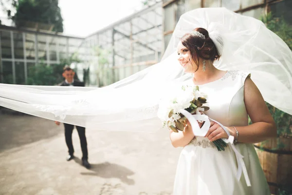 Mooi gelukkig bruidspaar, bruid met lange witte jurk poseren in mooie stad — Stockfoto