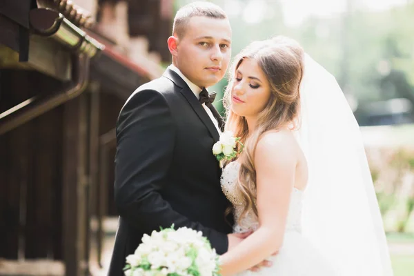 Pareja feliz boda caminando en un parque botánico — Foto de Stock