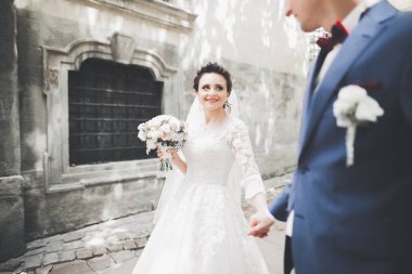 Lüks evli çift, gelin ve damat eski şehirde poz veriyor.