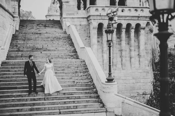 Casal de casamento bonito subindo uma escada linda de mãos dadas e olha para o outro — Fotografia de Stock