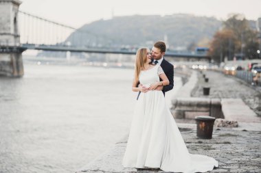 Zarif, şık, mutlu, sarışın gelin ve dağlardaki güzel bir nehrin arka planında harika bir damat.