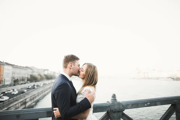 Kissing wedding couple staying over beautiful landscape — Stock Photo, Image