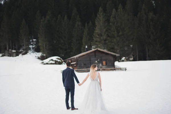La coppia, gli sposi che si tengono per mano in montagna — Foto Stock