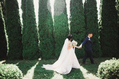 Parkta kucaklaşan yeni evli çiftin güzel romantik düğünü.