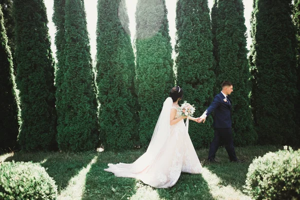 Parkta kucaklaşan yeni evli çiftin güzel romantik düğünü.